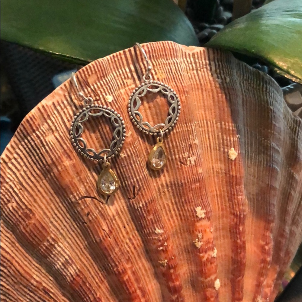 Sparkling Sterling Silver Earrings